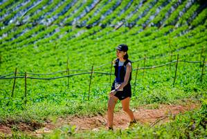 BIB: 
                            <button type="button" onclick="openModal(19164118)" class="btn btn-primary btn-sm float-right btn-popup" data-toggle="modal" data-target=".modal-high-quality">
                        <i class="fas fa-shopping-cart"></i> Add to Cart
                    </button>
                                            <button type="button" onclick="isThisMe(19164118, true)" class="btn btn-success btn-sm float-right btn-popup btn-isme hidden" data-toggle="tooltip" data-placement="bottom" title="นี่คือรูปของคุณใช่ไหม คลิกที่นี่เพื่อเอาเข้าอัลบั้ม">
                        <i class="fas fa-plus"></i> Add to album
                    </button>
                    <button type="button" onclick="isThisMe(19164118, false)" class="btn btn-warning btn-sm float-right btn-popup btn-isnotme hidden">
                        <i class="fas fa-ban"></i> Remove from album
                    </button>